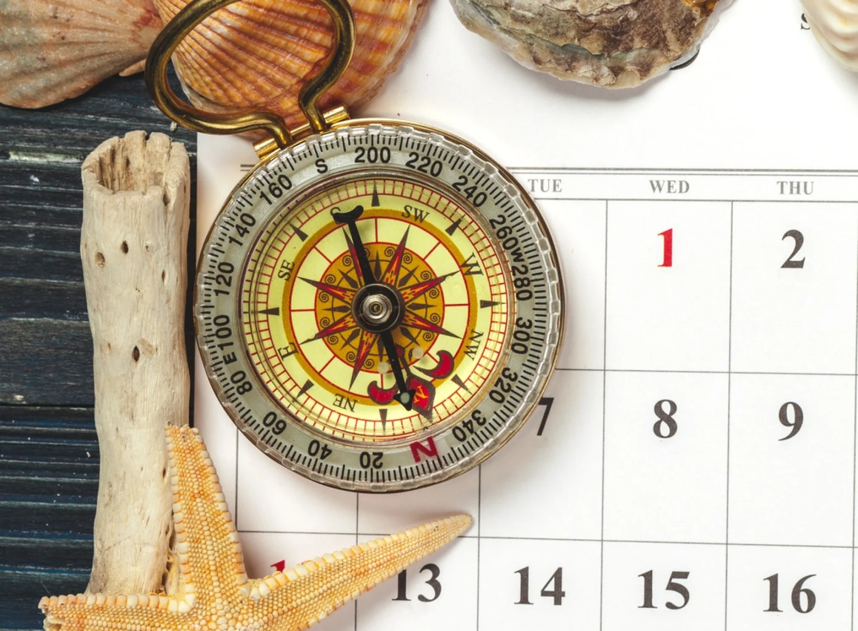 Calendario con brújula, estrella de mar, conchas, señala la agenda para sesiones gratis de eneagrama